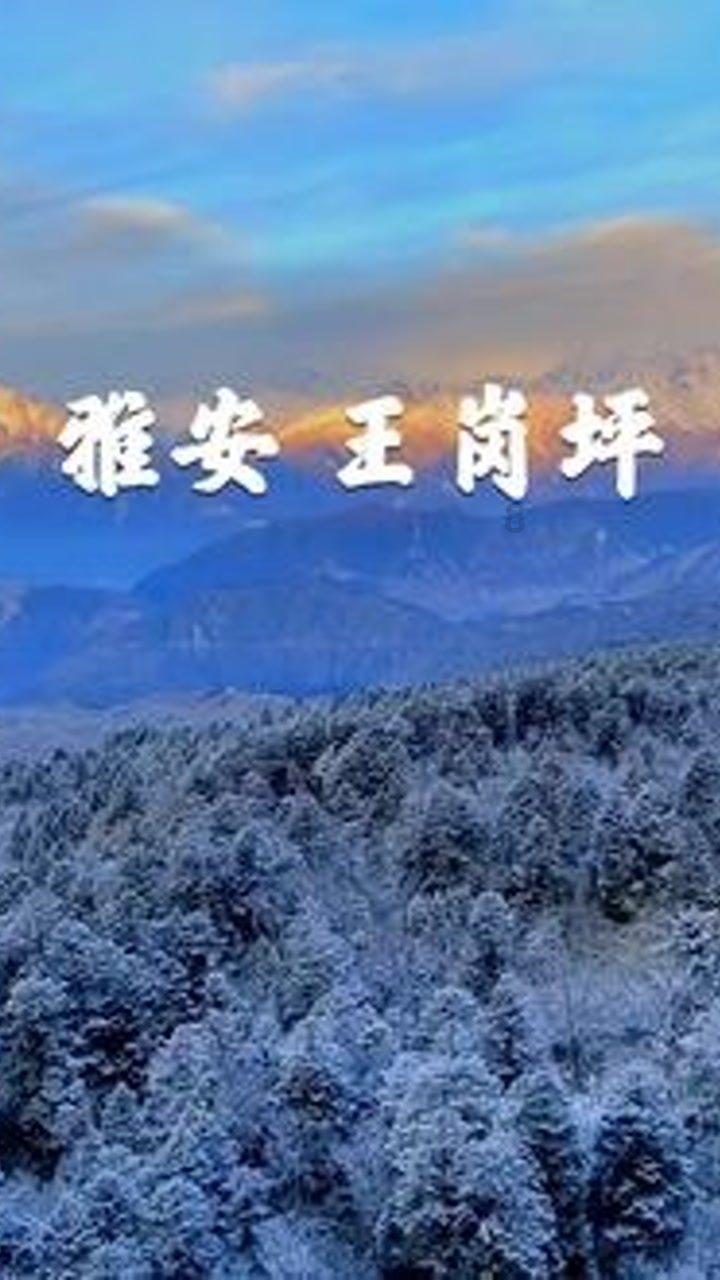 山西长治“小党参”来旅顺开启研学之旅