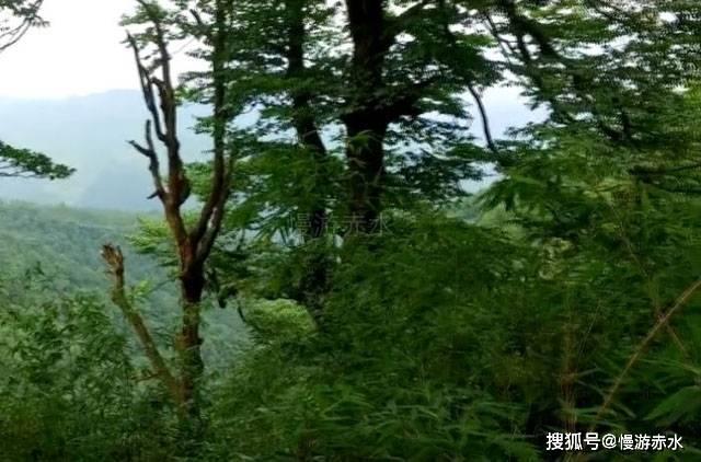 白色情人节：校园迷宫