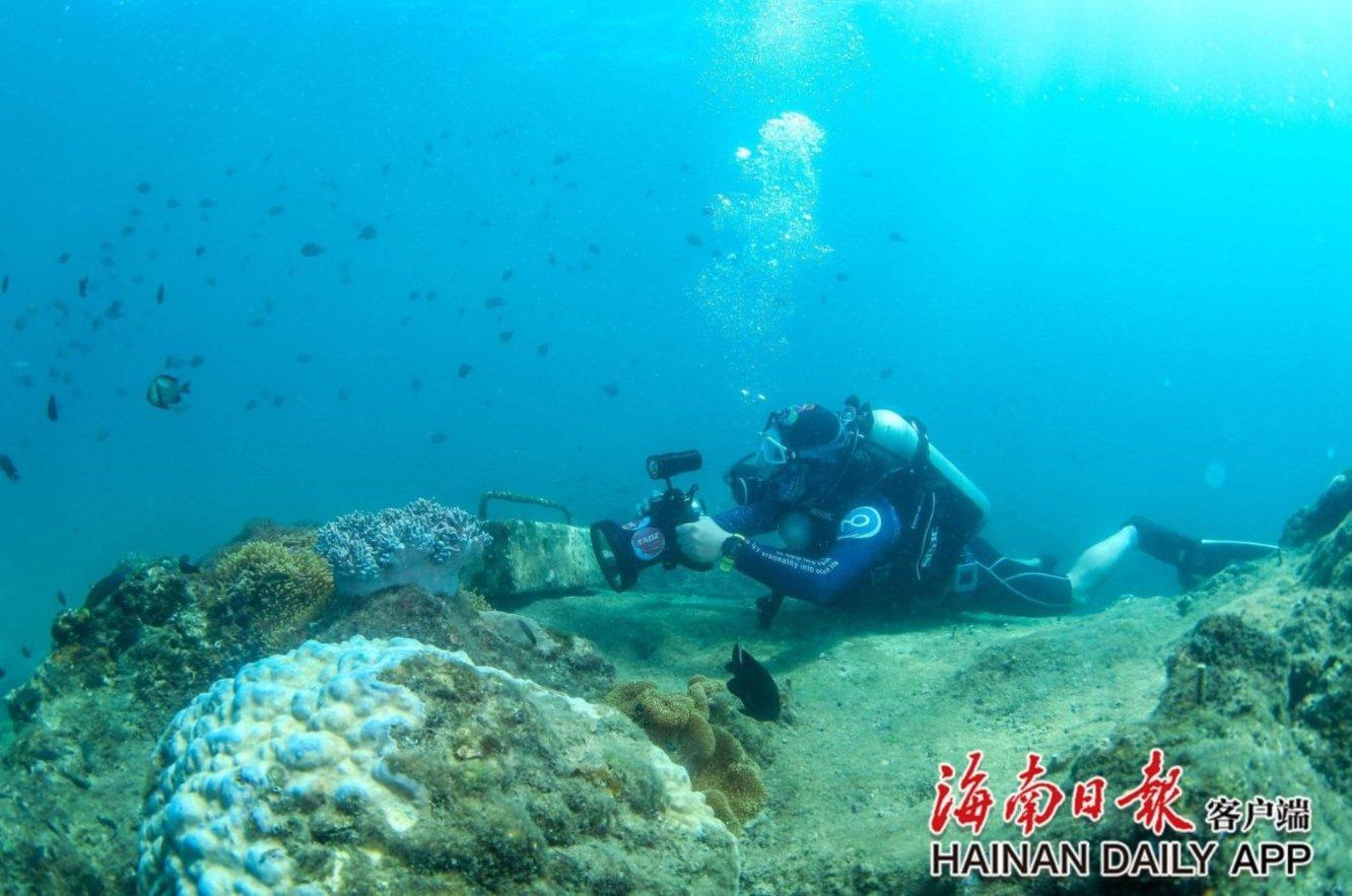 卡哇伊拳击手