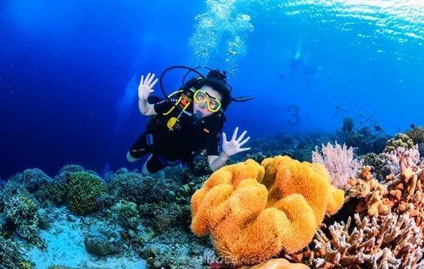发展特色文化旅游 打造“冰雪文化之都”